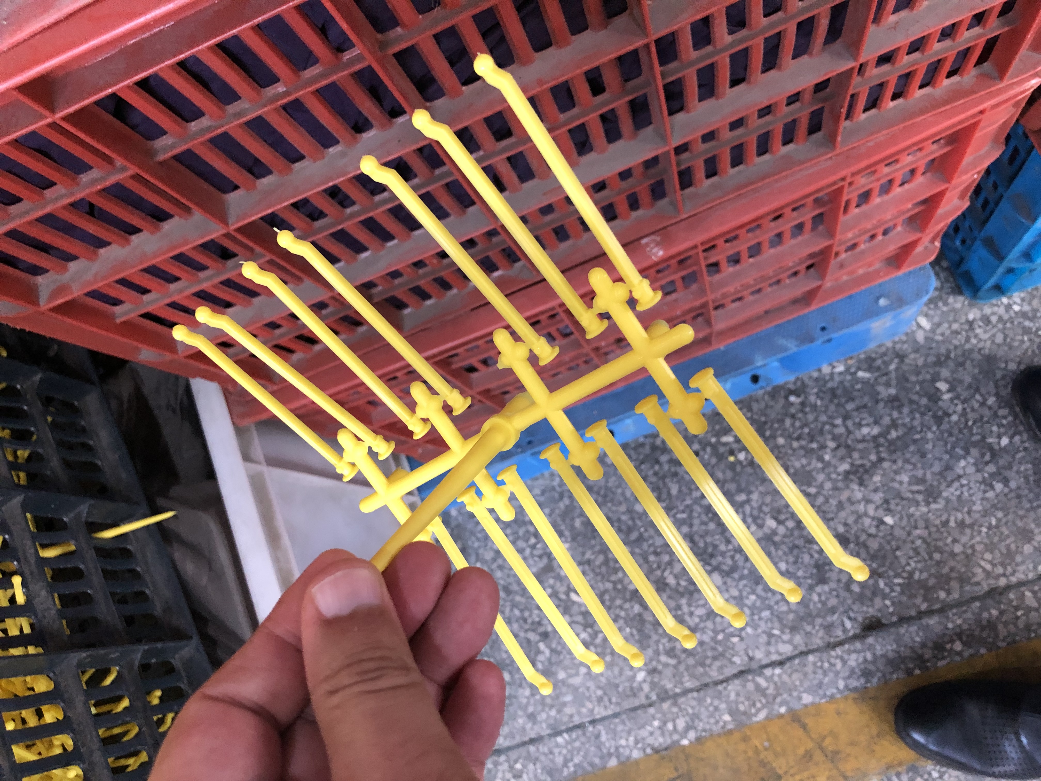雨竹